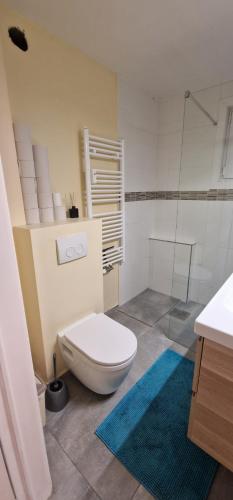 een badkamer met een toilet en een glazen douche bij Apartamentos completo con todas las comodidades in Brussel