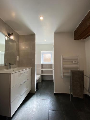 La salle de bains est pourvue d'un lavabo et de toilettes. dans l'établissement 2 pièces rénové dans Le pigeonnier, à Montpellier