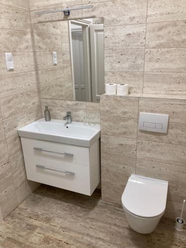 W łazience znajduje się toaleta, umywalka i lustro. w obiekcie Bólyi Panzió w mieście Bóly