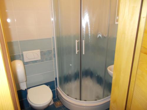 een badkamer met een douche, een toilet en een wastafel bij Tourist Farm Pri Požarju in Knežak