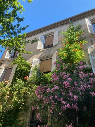 Cocooning Avignon photo 45