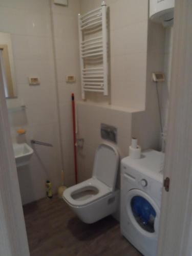 a small bathroom with a toilet and a sink at Apartment Ana in Podgorica