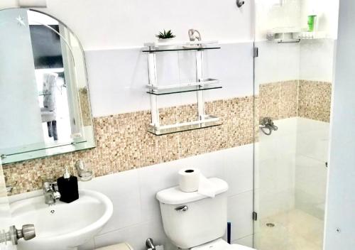 ein Bad mit einem WC, einem Waschbecken und einer Dusche in der Unterkunft Bello y comodo apartment , residencial con piscina, seguridad las 24 Horas in Licey al Medio
