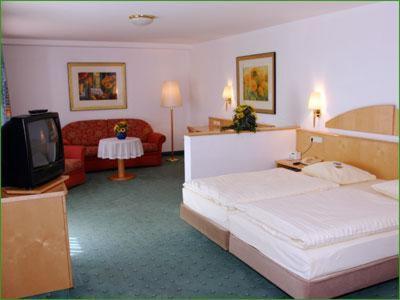 a hotel room with a bed and a tv at Haus am Park in Bad Hersfeld