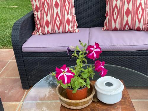 a glass coffee table with flowers and a couch at Finca Sa Canova Agroturismo in Campos