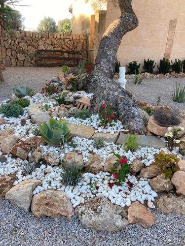 a garden with rocks and a tree in the middle at Finca Sa Canova Agroturismo in Campos