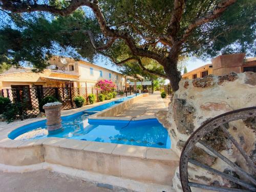 a swimming pool in a yard with a tree at Finca Sa Canova Agroturismo in Campos