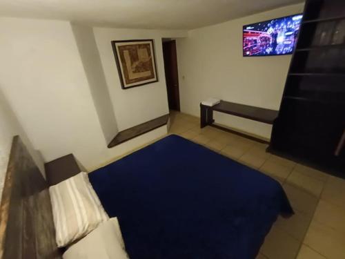 a living room with a blue carpet and a tv at El Arrayan in Valle de Bravo