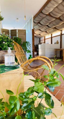 a rattan chair sitting on a patio with plants at B&B BELLAMI' in Tuglie