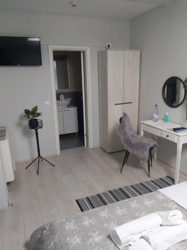 a bedroom with a desk and a chair in a room at VonAmor Rooms in Novi Sad