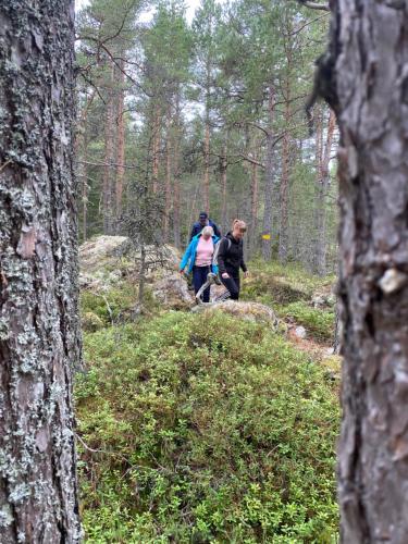 a group of people walking on a trail in the woods at Hedenstugan B&B Hotel in Bergby