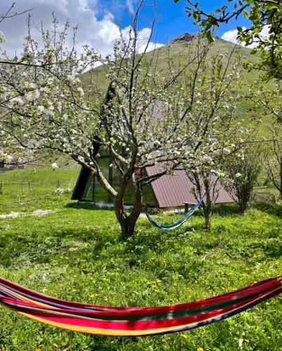 a hammock in the grass next to a tree at Sno Cottage in Sno