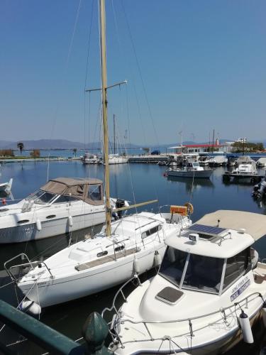 a group of boats docked in a harbor at COZZY STUDIO IN NEA MAKRI in Nea Makri