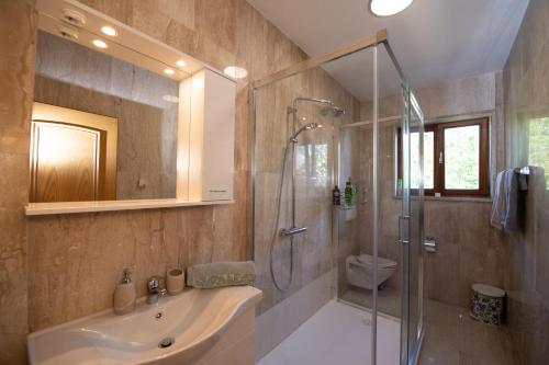 a bathroom with a shower and a sink and a toilet at Bela Vista 4 Rustikales Appartement in Volosko