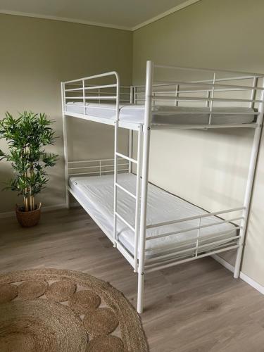 Двуетажно легло или двуетажни легла в стая в Jåsund SunView