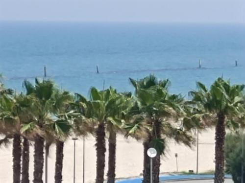 a row of palm trees on a beach with the ocean at Skyscraper Porto Sant'Elpidio in Porto SantʼElpidio