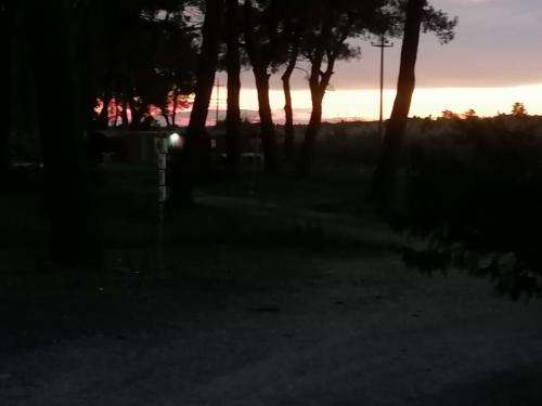 Club Marziotta – Photos 4