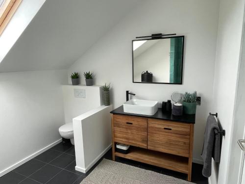 ein Badezimmer mit einem Waschbecken, einem WC und einem Spiegel in der Unterkunft La Poterie - Chambres d'hôtes / Bed & Breakfast in Ath