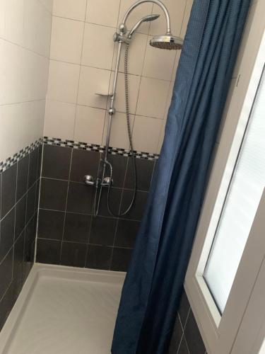 ein Badezimmer mit einer Dusche mit einem blauen Duschvorhang in der Unterkunft Charmant duplex de 28m2 en plein centre ville in Tarbes