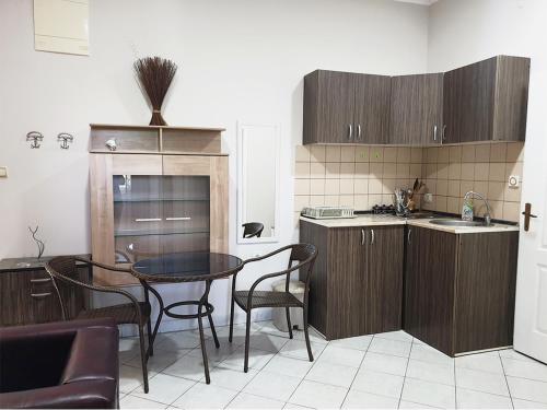 Köök või kööginurk majutusasutuses ATRIJUM apartmani Apatin