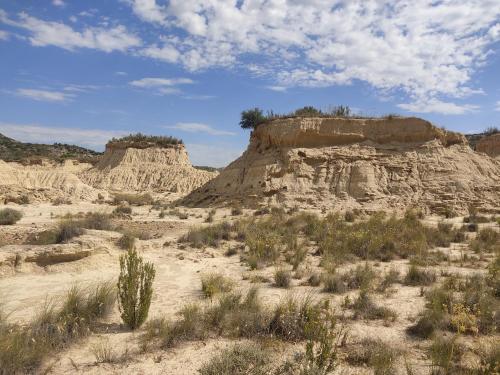 a view of a desert with rocks and plants at EL PINAR DE BARDENA in Carcastillo