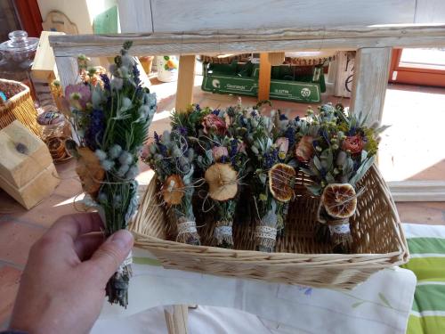 a person is holding a basket of flowers at sosnowelowe in Lamkowo