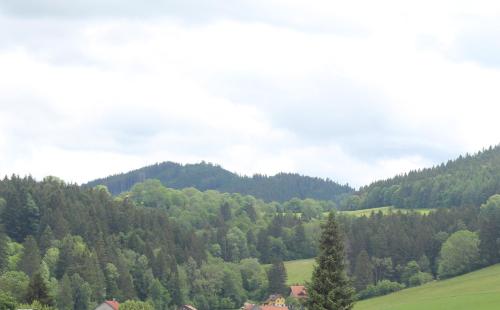 a view of a lush green hillside with trees at Wohlfühl-Appartement in Maierhöfen