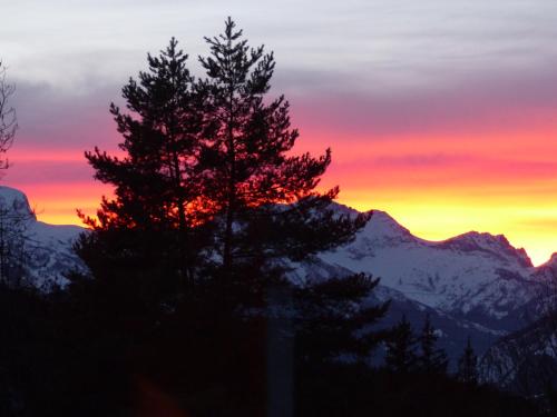 a tree in front of a mountain with a sunset at chalets cocody in Jausiers
