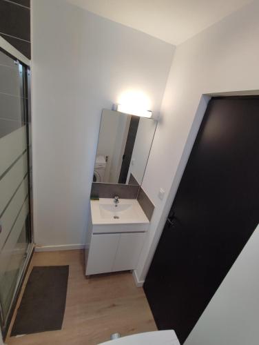une salle de bain avec un lavabo et un miroir dans l'établissement Alsace N°2, au Mans