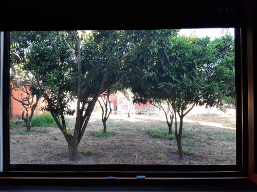 a window with a view of trees in a field at Guesthouse da Caterina in San Giovanni