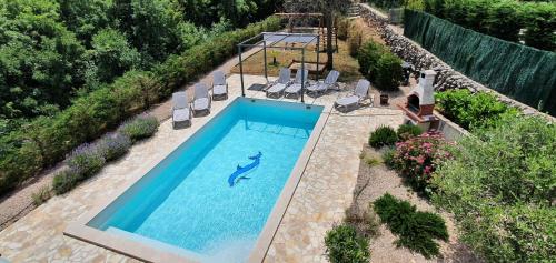 an overhead view of a swimming pool with a dolphin in the water at Villa Marie 5-Sterne in Kornić