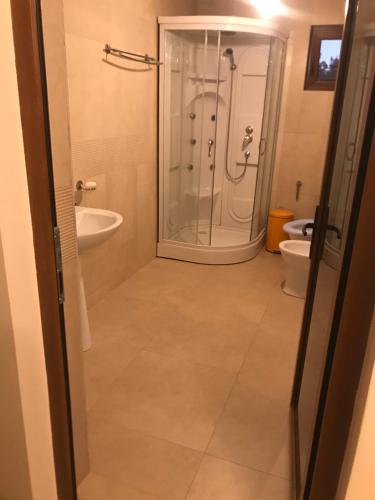 a bathroom with a shower and a toilet at Apartament La Vilă in Curtea de Argeş