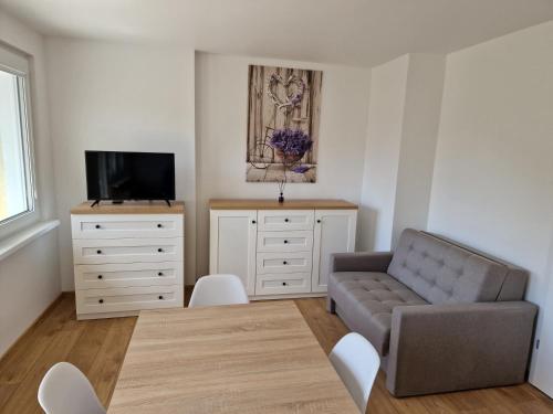 Televízia a/alebo spoločenská miestnosť v ubytovaní Apartament Lawendowy Gdańsk
