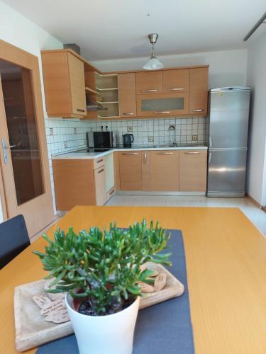 een keuken met een tafel met een potplant erop bij Apartma Stenar in Mojstrana