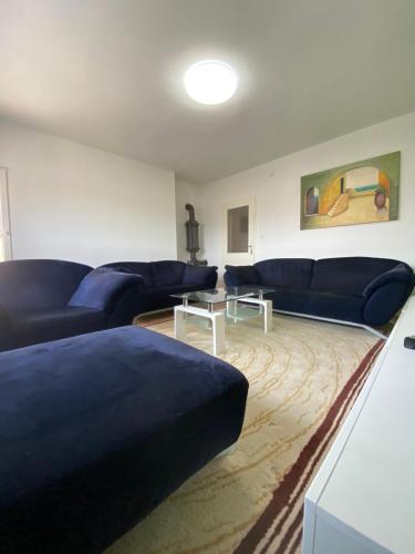 a living room with blue couches and a rug at Apartman “IVA” in Drvar