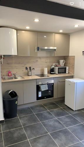 une cuisine avec un évier et un micro-ondes dans l'établissement Jolis studios centre Avignon, à Avignon