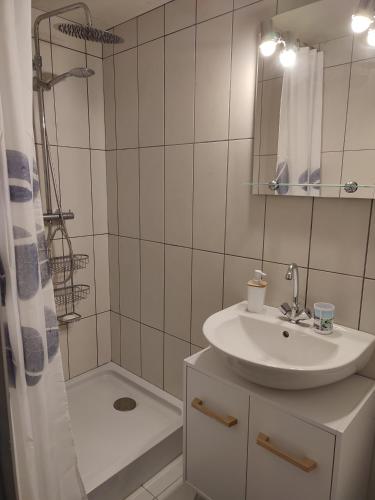 une salle de bain avec un lavabo et une douche dans l'établissement Chalet dans la Foret....Adorable 1 bedroom chalet surrounded by woodland, à Pressignac