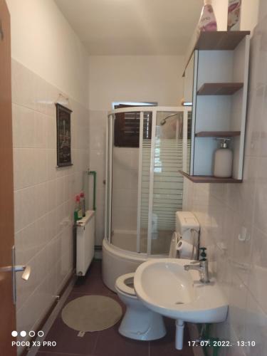 y baño con ducha, aseo y lavamanos. en apartman Bruna, en Šibenik