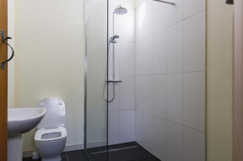 a bathroom with a shower with a toilet and a sink at Broomhill Barns in Minwear