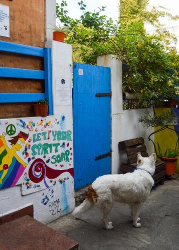 Gambar di galeri bagi Zeppelin Art-Hostel di Mar del Plata
