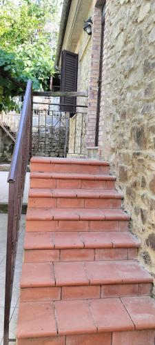 Borgo San Martino – Photos 3