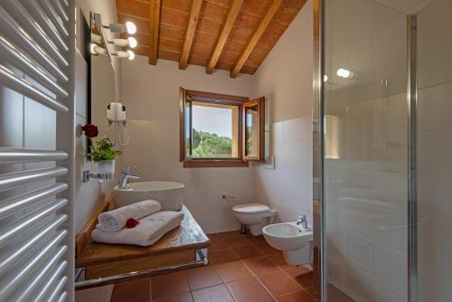 a bathroom with a shower and a sink and a toilet at Agriturismo I Cerroni Montescudaio in Montescudaio