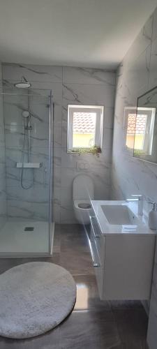 Apartman Brajkovic