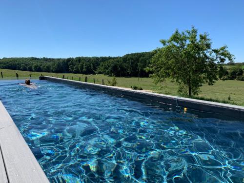 une grande piscine avec une personne dans l'eau dans l'établissement La Ferme du Bonheur, à Arbigny