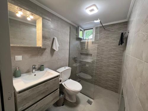 a bathroom with a toilet and a sink and a shower at Gazena House in Sívros