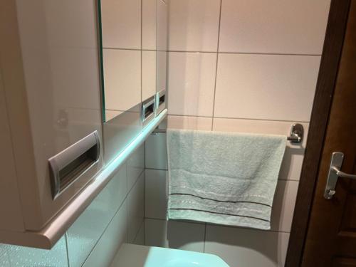 a bathroom with a glass shower stall with a towel at Mokra Gora Central Apartments in Mokra Gora