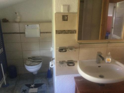 a bathroom with a sink and a toilet at Ferienwohnung am Stettiner Haff in Stolpe auf Usedom