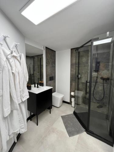 a bathroom with a shower and a sink and a toilet at Epic House in Międzylesie