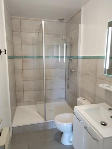 a bathroom with a shower and a toilet and a sink at Hôtel-Relais De Trefeuntec in Plonévez-Porzay