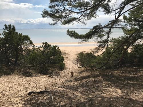 a sandy beach with trees and the ocean in the background at Hatty's Guesthouse in Motala